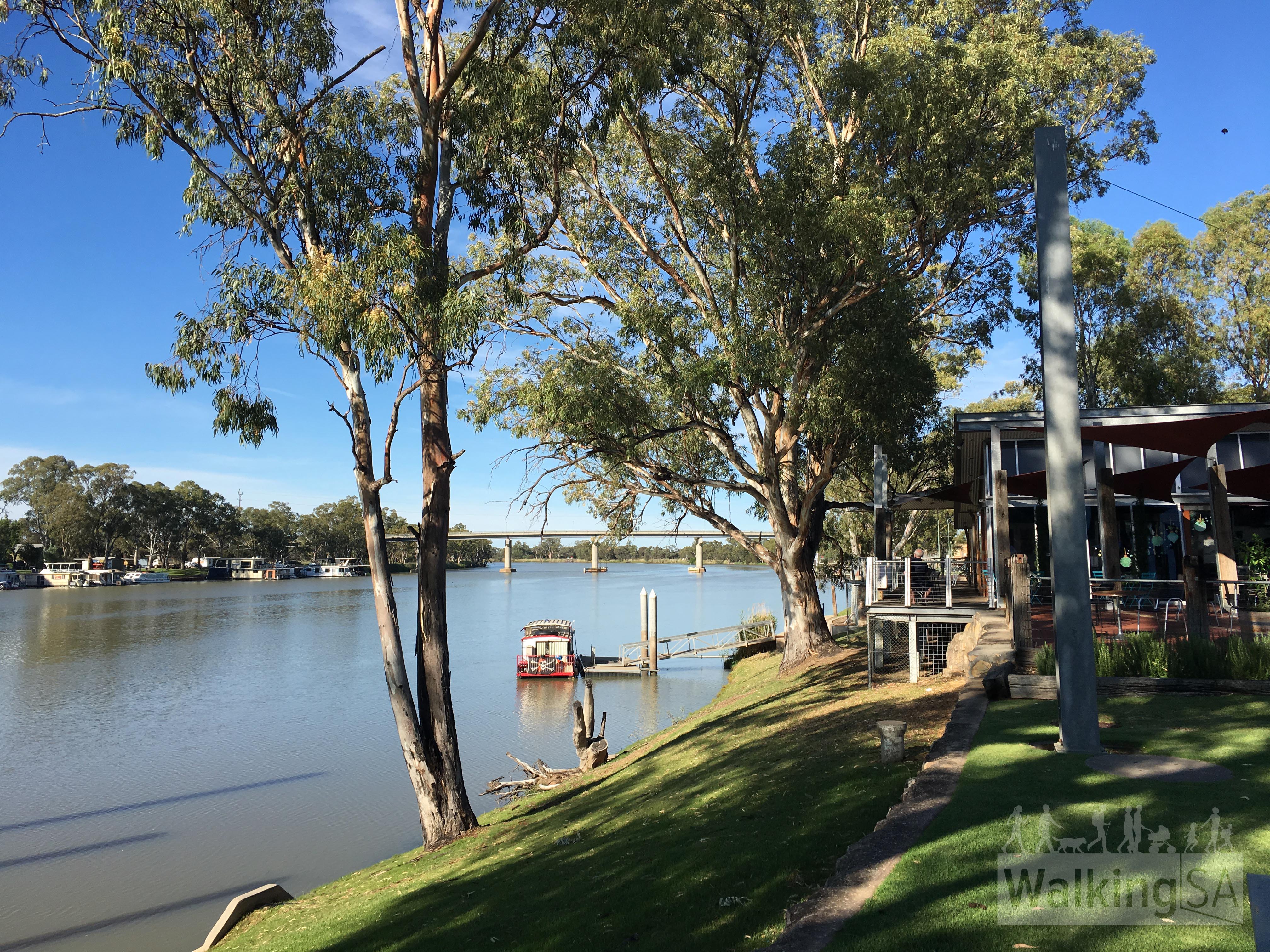 Photo: Berri riverbank of Murray River