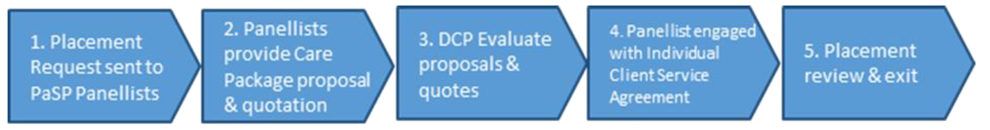 An overview of the PaSP process
