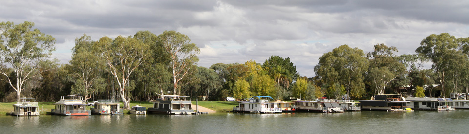 Photo: Murray River at Berri with houseboats