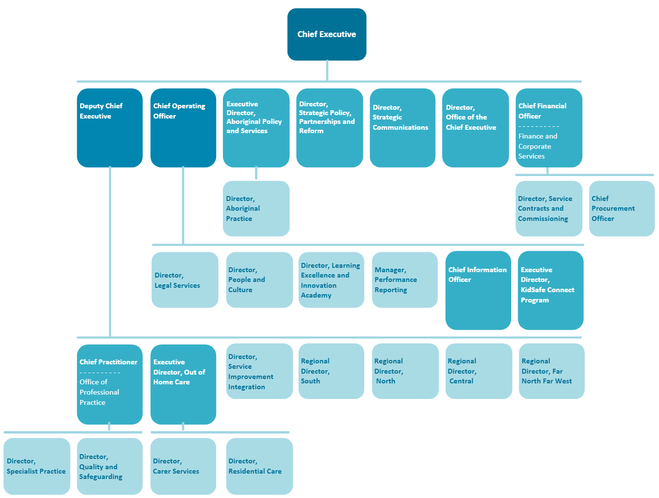 DCP organisation structure 2026